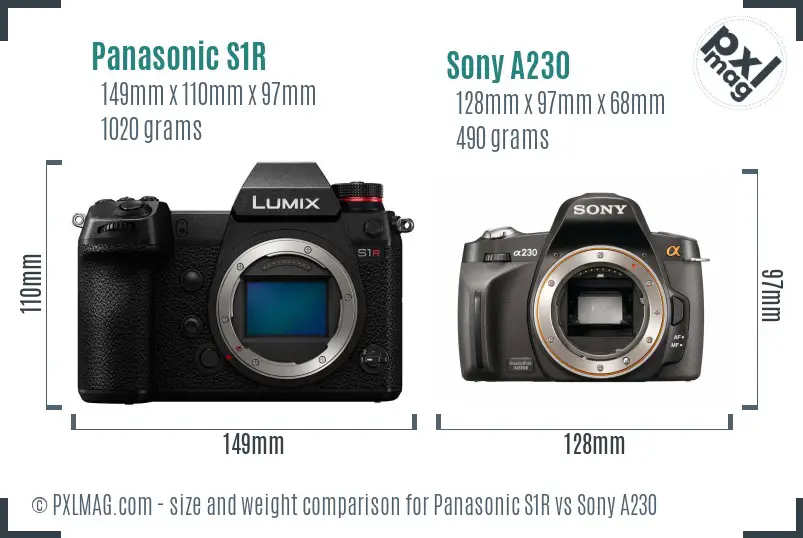Panasonic S1R vs Sony A230 size comparison