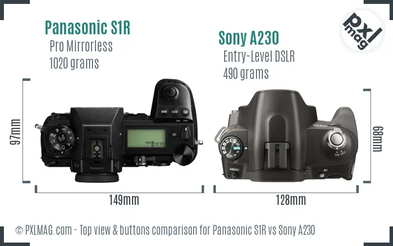 Panasonic S1R vs Sony A230 top view buttons comparison