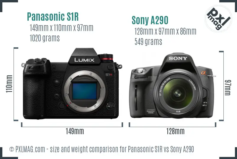 Panasonic S1R vs Sony A290 size comparison