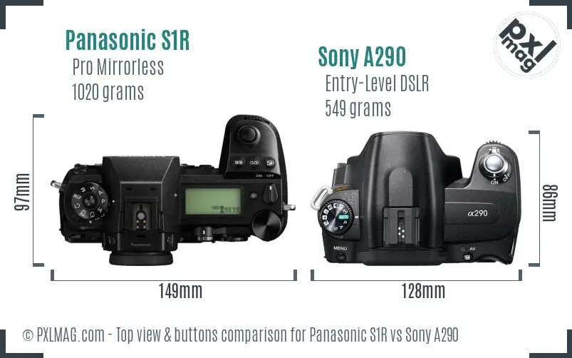 Panasonic S1R vs Sony A290 top view buttons comparison