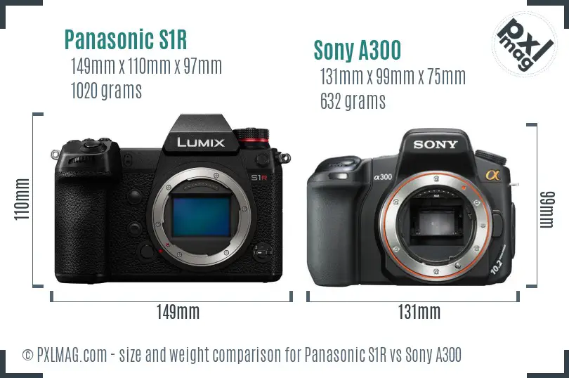 Panasonic S1R vs Sony A300 size comparison