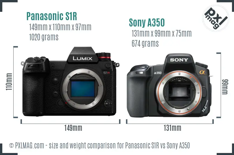 Panasonic S1R vs Sony A350 size comparison