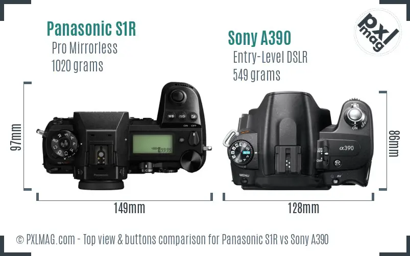 Panasonic S1R vs Sony A390 top view buttons comparison