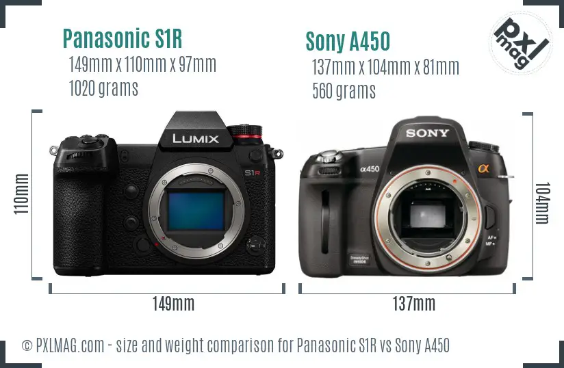 Panasonic S1R vs Sony A450 size comparison