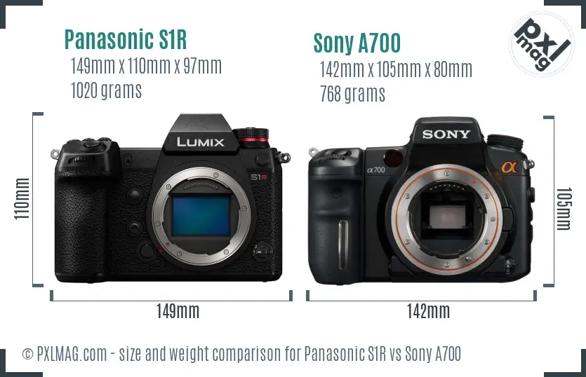 Panasonic S1R vs Sony A700 size comparison