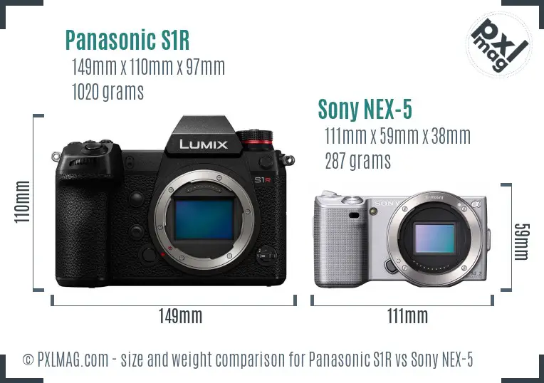 Panasonic S1R vs Sony NEX-5 size comparison
