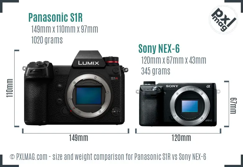 Panasonic S1R vs Sony NEX-6 size comparison
