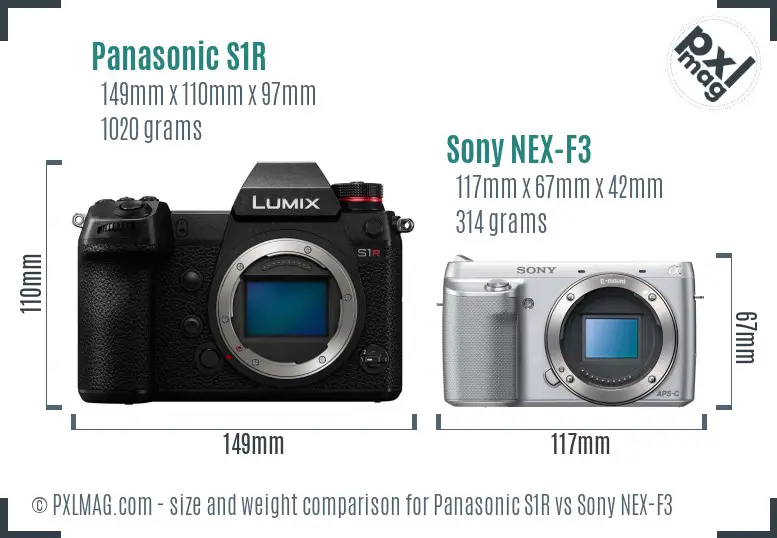 Panasonic S1R vs Sony NEX-F3 size comparison