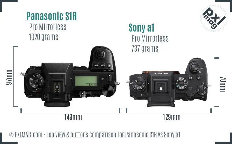 Panasonic S1R vs Sony a1 top view buttons comparison