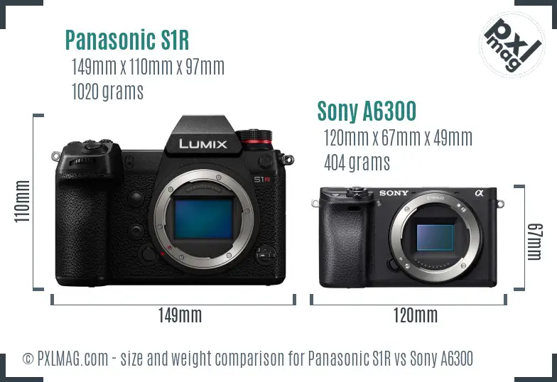 Panasonic S1R vs Sony A6300 size comparison