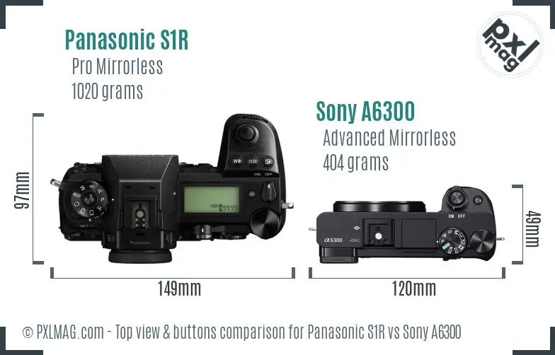 Panasonic S1R vs Sony A6300 top view buttons comparison