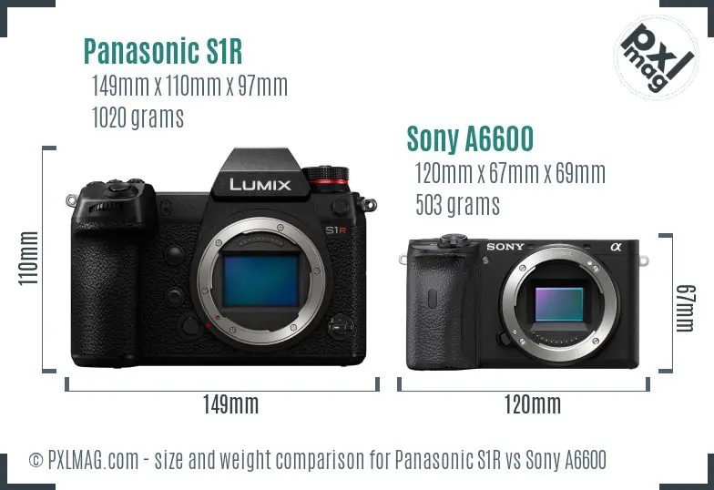 Panasonic S1R vs Sony A6600 size comparison