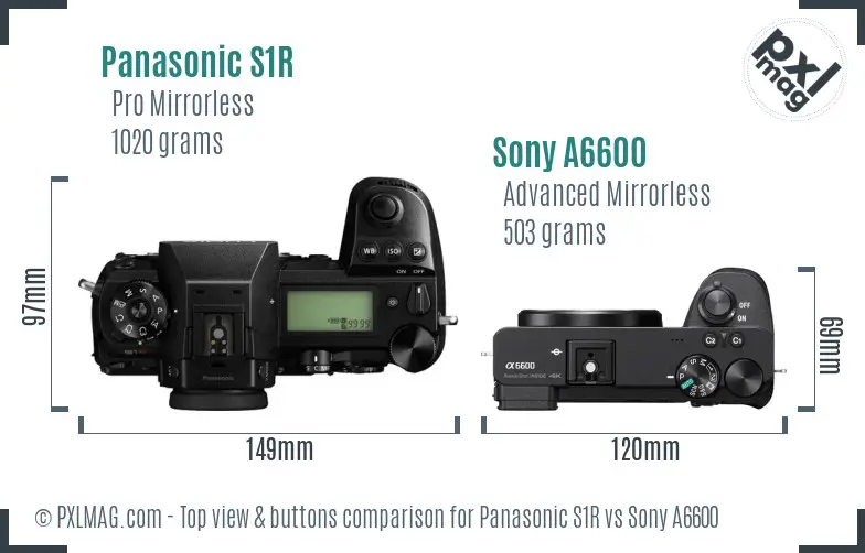 Panasonic S1R vs Sony A6600 top view buttons comparison