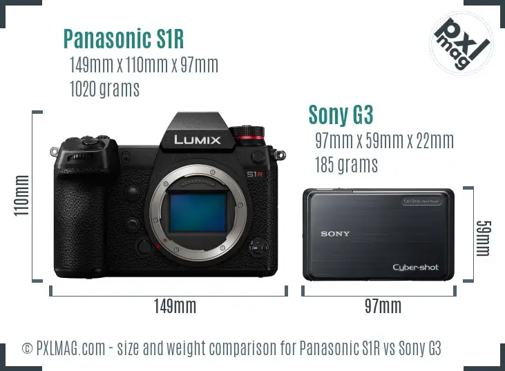 Panasonic S1R vs Sony G3 size comparison