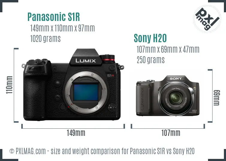 Panasonic S1R vs Sony H20 size comparison