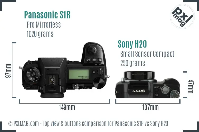 Panasonic S1R vs Sony H20 top view buttons comparison