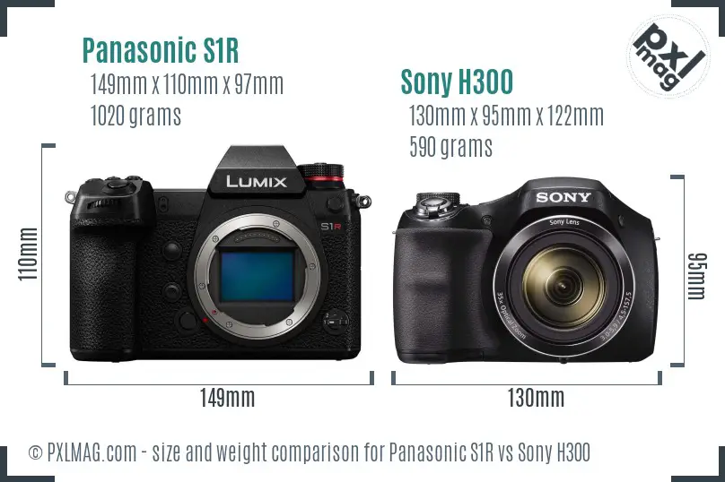 Panasonic S1R vs Sony H300 size comparison