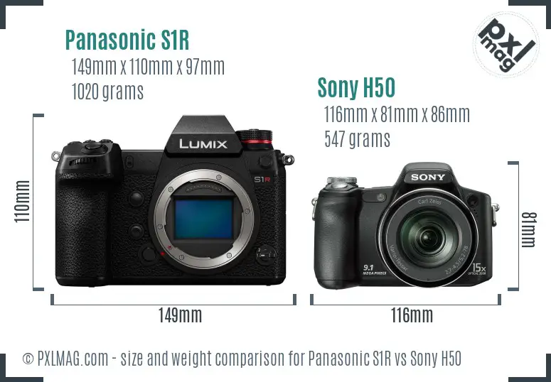 Panasonic S1R vs Sony H50 size comparison