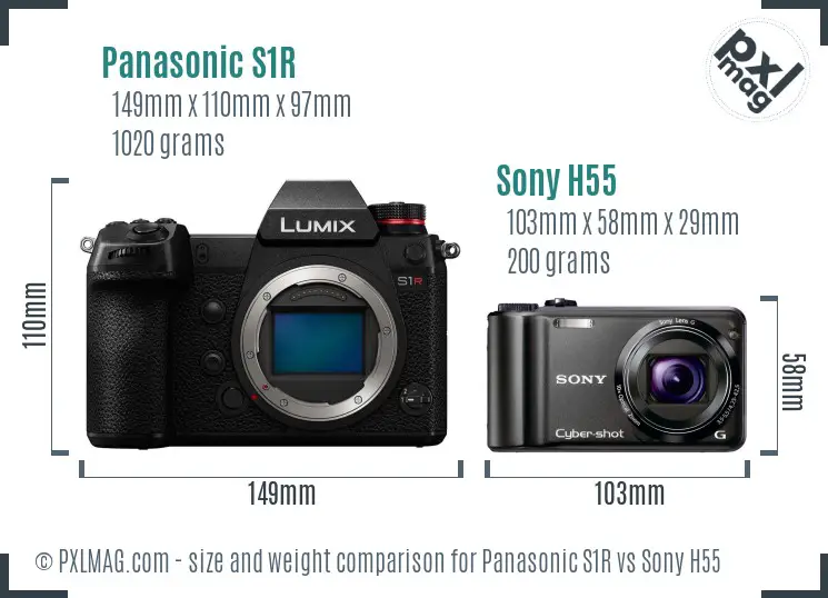 Panasonic S1R vs Sony H55 size comparison