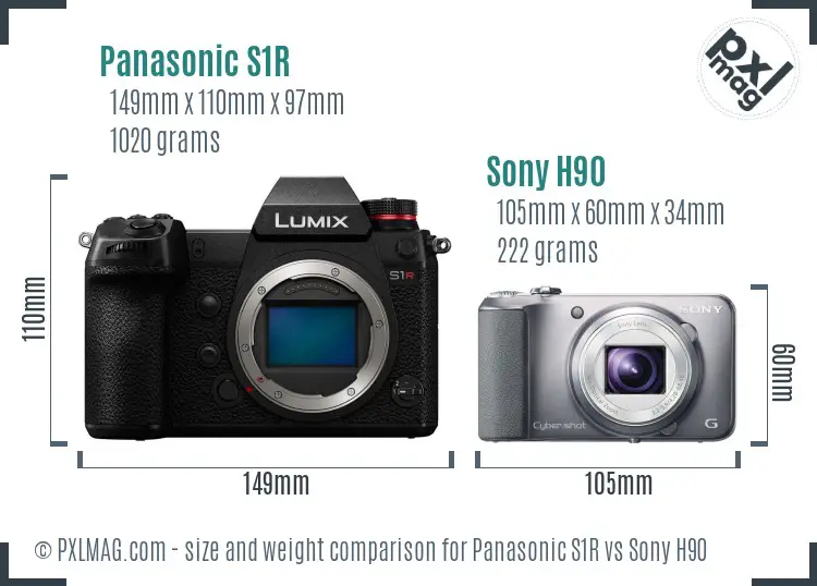Panasonic S1R vs Sony H90 size comparison