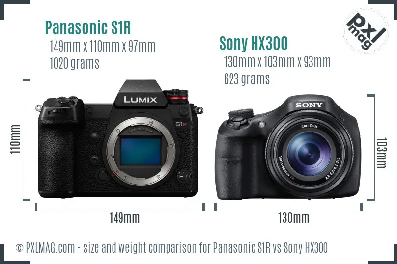 Panasonic S1R vs Sony HX300 size comparison