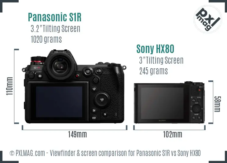 Panasonic S1R vs Sony HX80 Screen and Viewfinder comparison