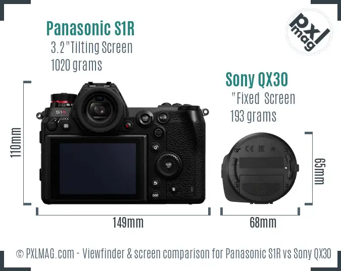 Panasonic S1R vs Sony QX30 Screen and Viewfinder comparison