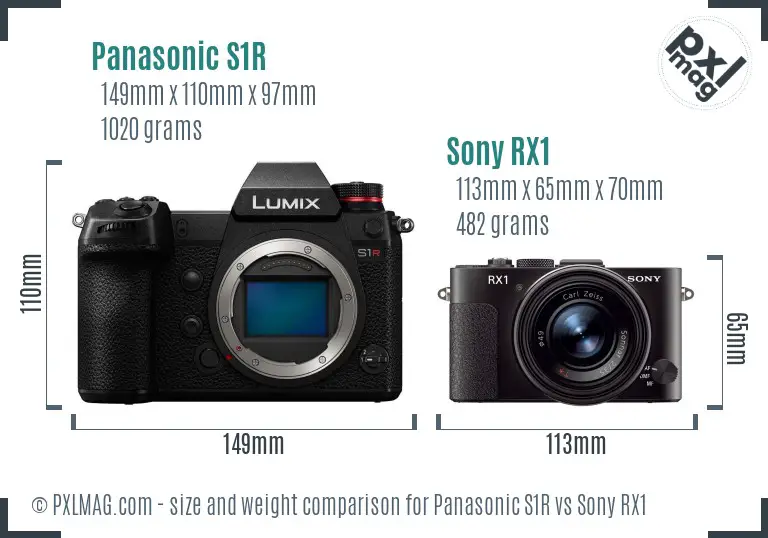 Panasonic S1R vs Sony RX1 size comparison