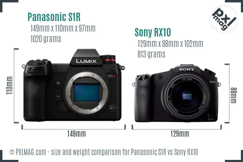 Panasonic S1R vs Sony RX10 size comparison