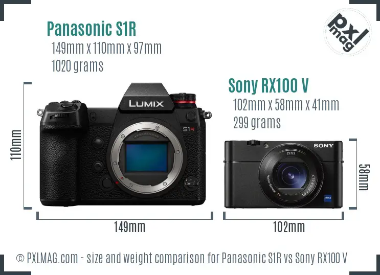 Panasonic S1R vs Sony RX100 V size comparison