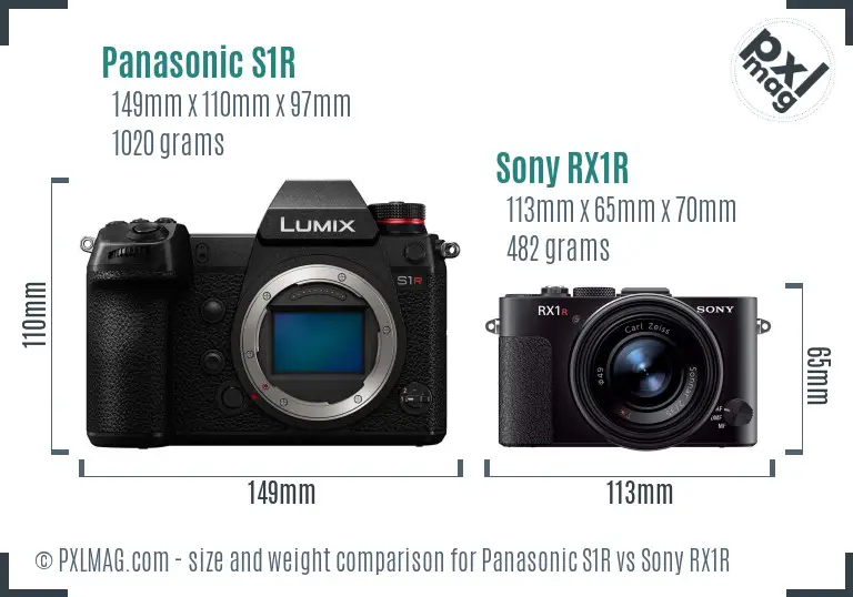 Panasonic S1R vs Sony RX1R size comparison