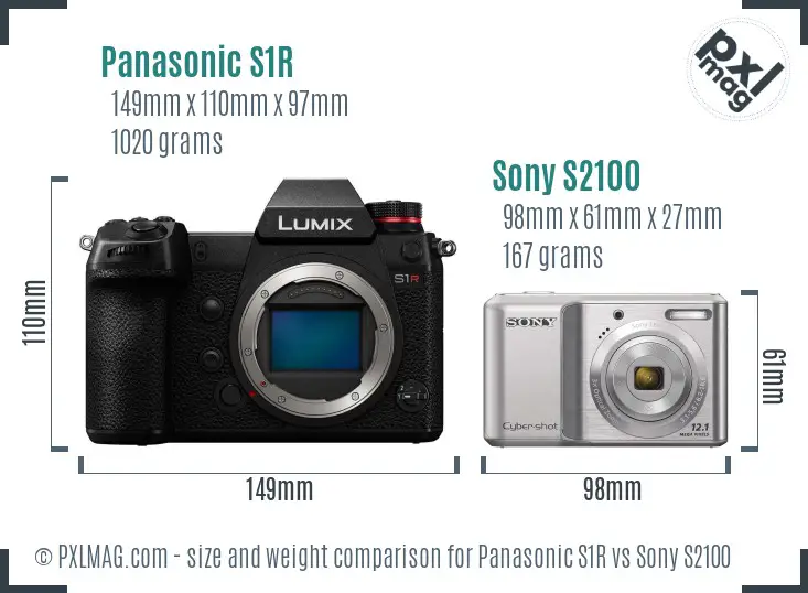 Panasonic S1R vs Sony S2100 size comparison