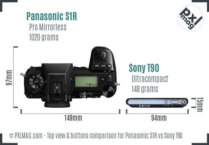 Panasonic S1R vs Sony T90 top view buttons comparison