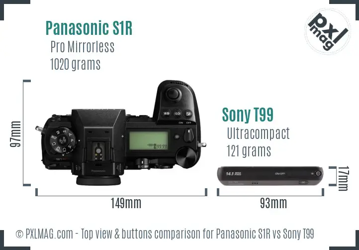 Panasonic S1R vs Sony T99 top view buttons comparison
