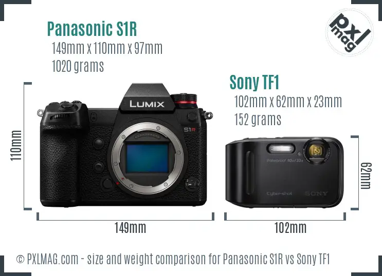 Panasonic S1R vs Sony TF1 size comparison