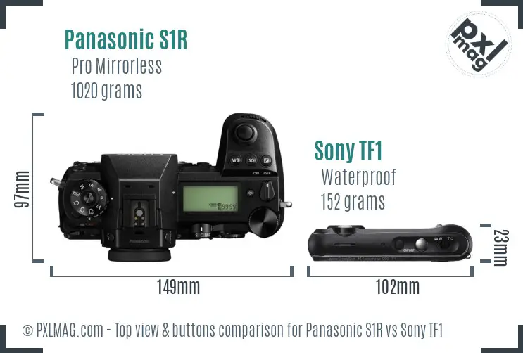 Panasonic S1R vs Sony TF1 top view buttons comparison