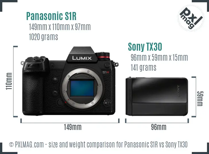 Panasonic S1R vs Sony TX30 size comparison Panasonic S1R vs Sony TX30 size comparison