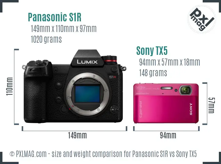 Panasonic S1R vs Sony TX5 size comparison