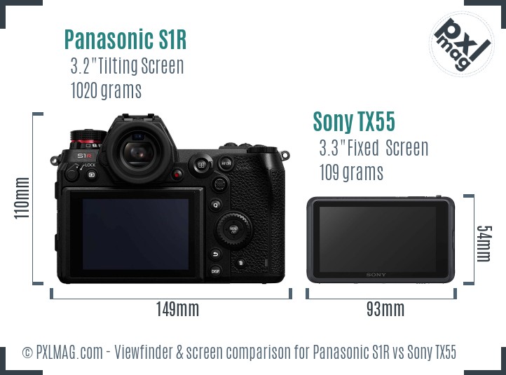 Panasonic S1R vs Sony TX55 Screen and Viewfinder comparison