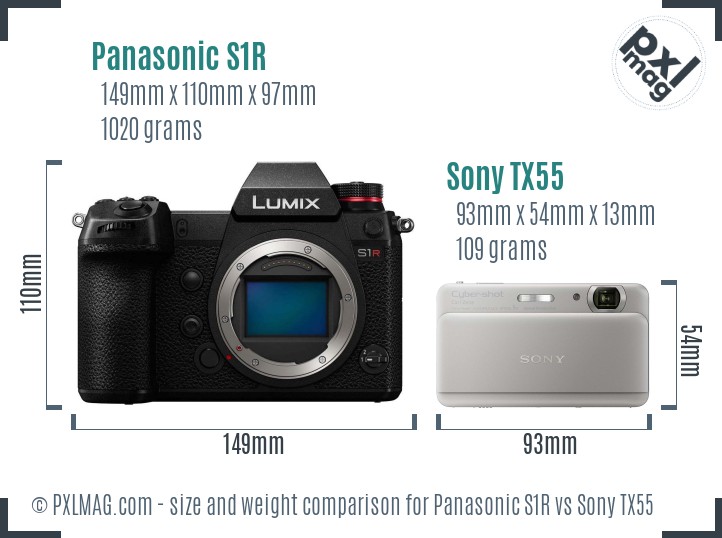 Panasonic S1R vs Sony TX55 size comparison