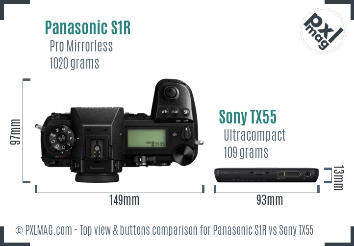 Panasonic S1R vs Sony TX55 top view buttons comparison