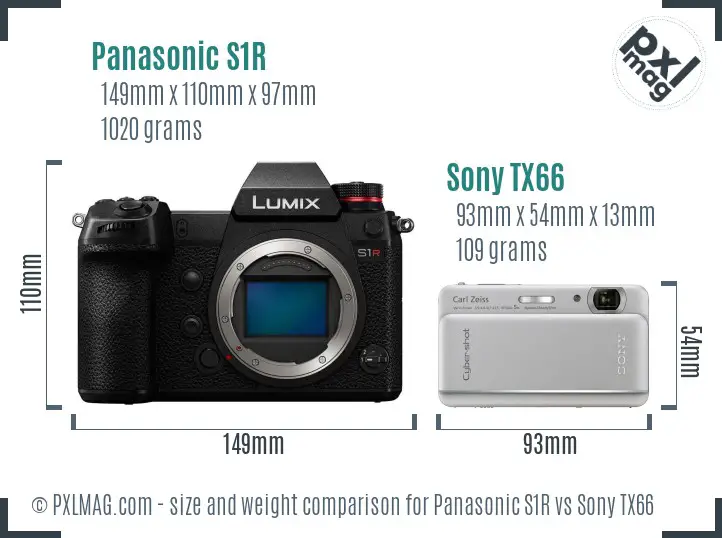 Panasonic S1R vs Sony TX66 size comparison