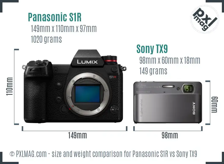 Panasonic S1R vs Sony TX9 size comparison