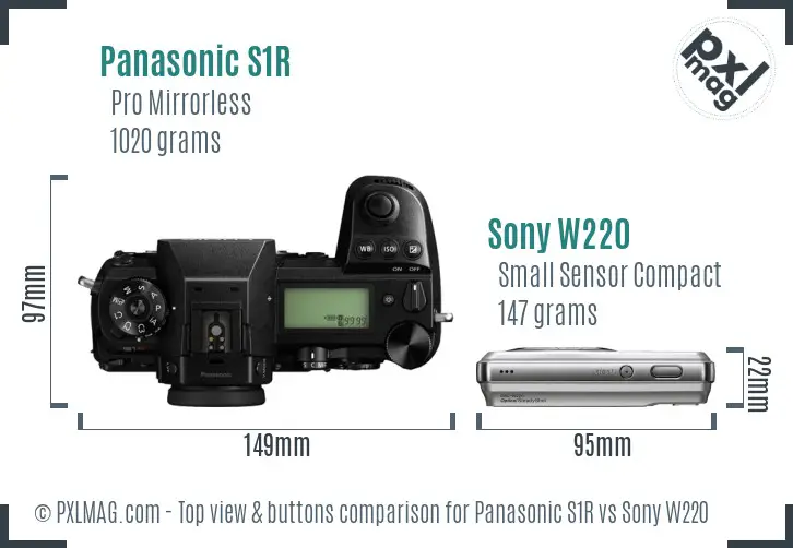 Panasonic S1R vs Sony W220 top view buttons comparison Panasonic S1R vs Sony W220 top view buttons comparison