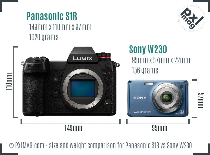 Panasonic S1R vs Sony W230 size comparison