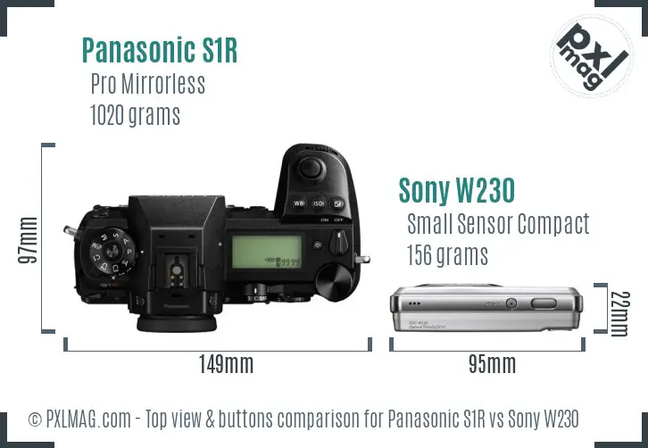 Panasonic S1R vs Sony W230 top view buttons comparison