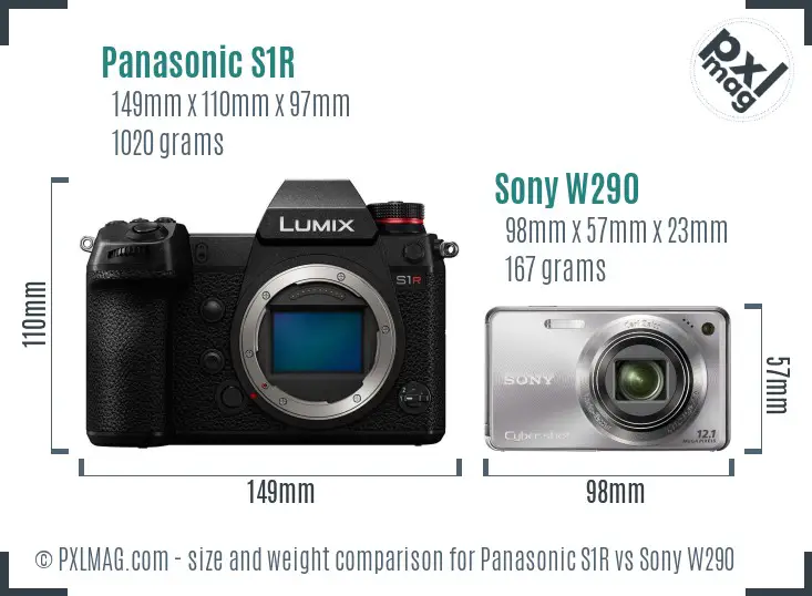 Panasonic S1R vs Sony W290 size comparison