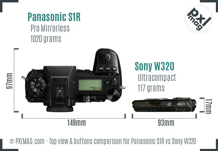 Panasonic S1R vs Sony W320 top view buttons comparison