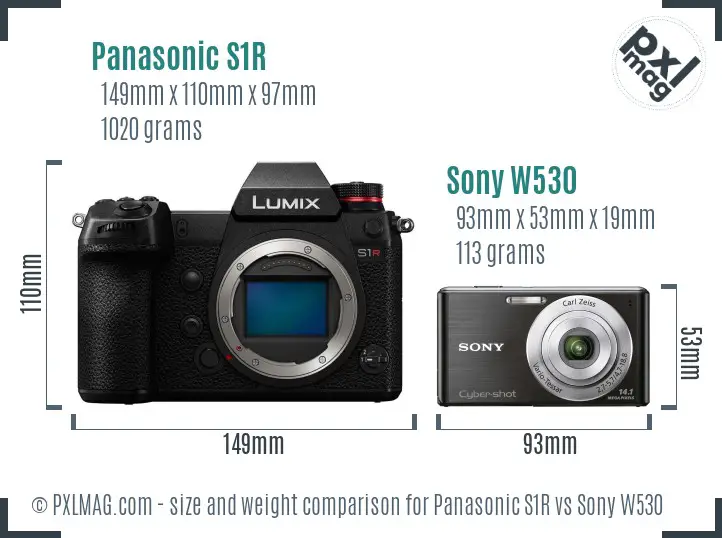 Panasonic S1R vs Sony W530 size comparison