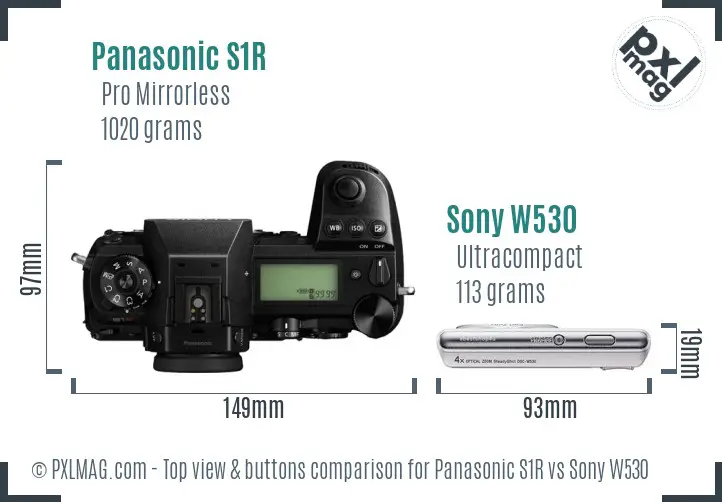 Panasonic S1R vs Sony W530 top view buttons comparison